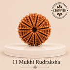 11 Mukhi Rudraksha – Natural Nepal Origin Ekadashmukhi Rudraksha for Courage & Spiritual Strength