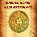 Professional Bhrigu Nandi Nadi (BNN) Course
