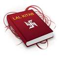 Professional Lal Kitab Course