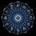 Professional Vedic Astrology Course